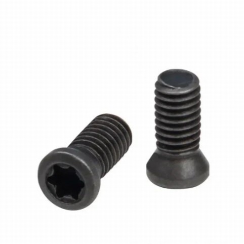 Screws for CZ, KMR and Tanfoglio SpidErgo Grips